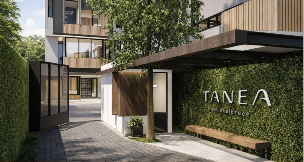tanea